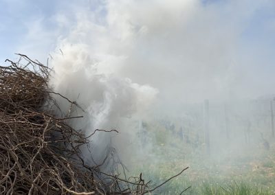 Fumée sortant d'un tas de branches Domaine Maréchal